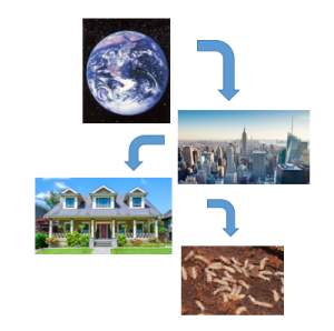 What is Integrated Pest Management?