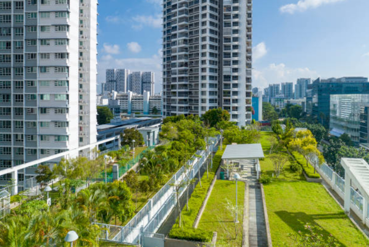 Sustainable Urban Drainage Systems: Types & Examples