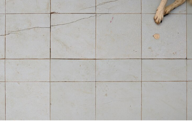 What Is the Best Underlayment for Tile Floors?