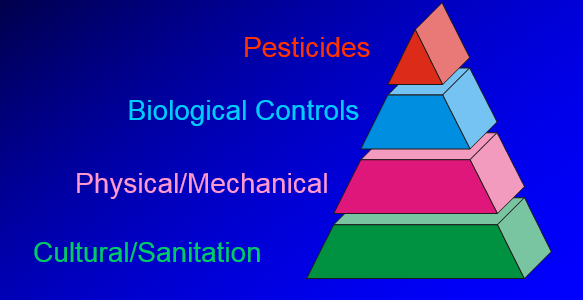 Integrated Pest Management Pyramid