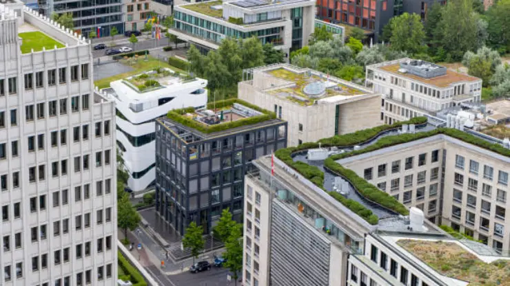 Green rooftops showcase various examples of stormwater management solutions.