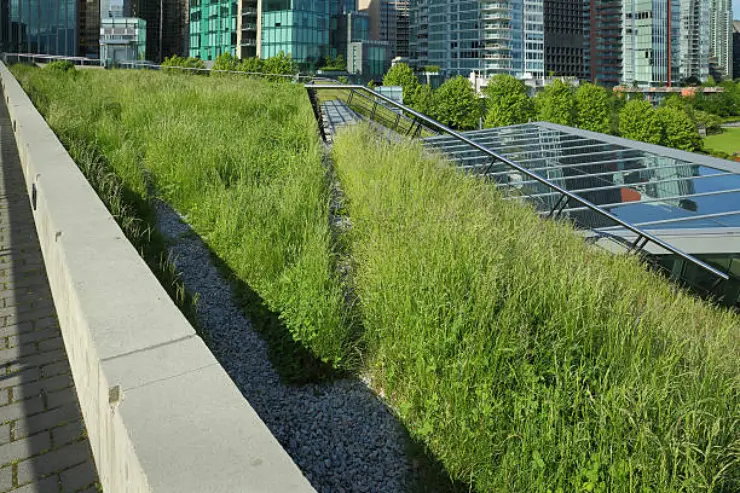 Innovative green rooftops enhance drainage in urban areas.