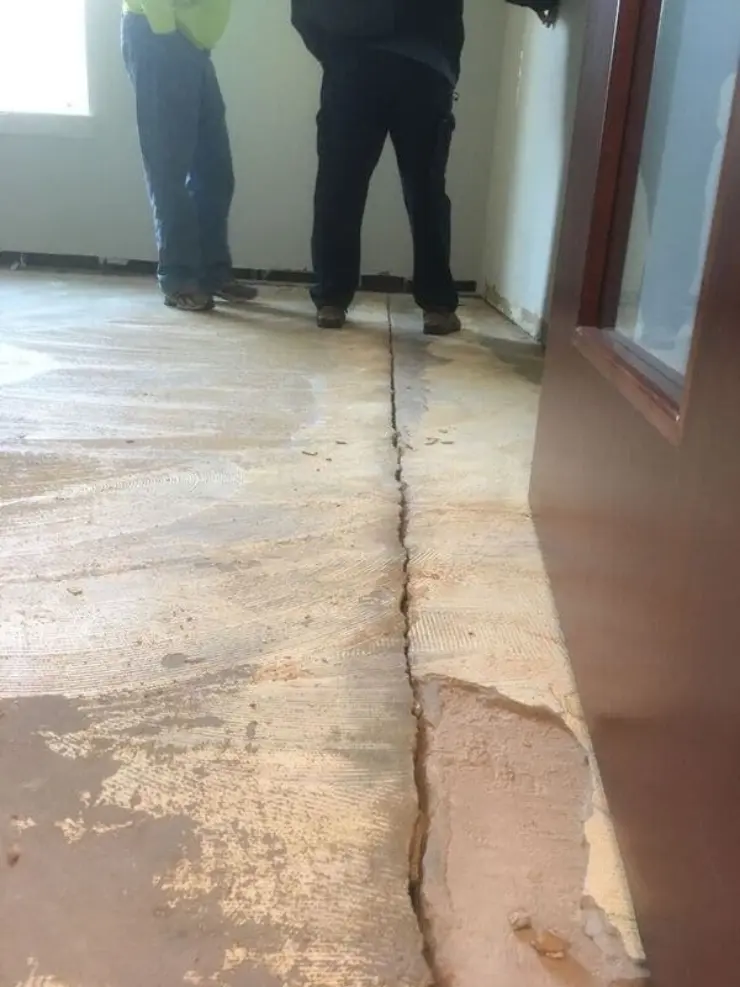 Foundation Cracks allows pests to enter your structure