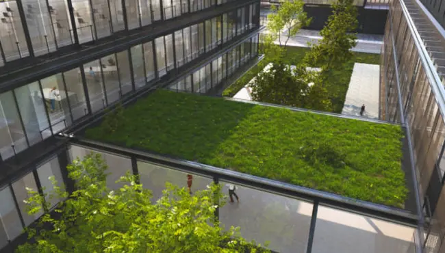 Green Roof Drainage: Systems, Design & Materials