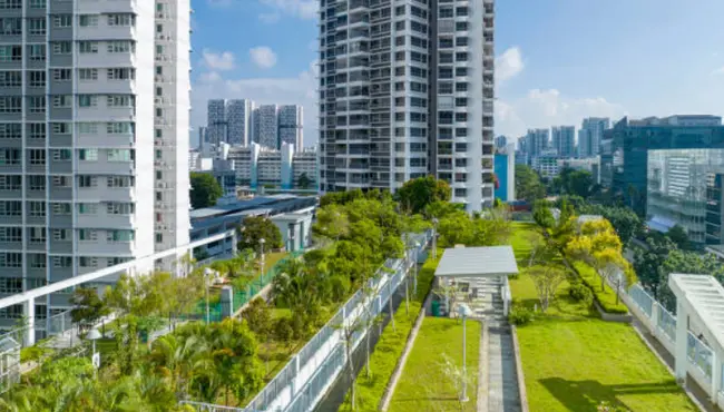 Sustainable Urban Drainage Systems: Types & Examples