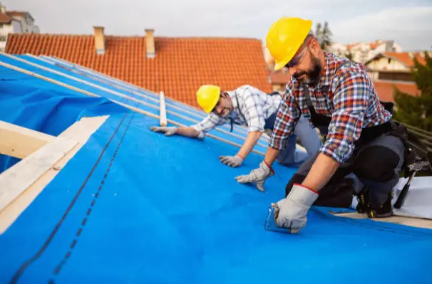 Roof Waterproofing Membrane: A Comprehensive Guide to Protection and Innovation
