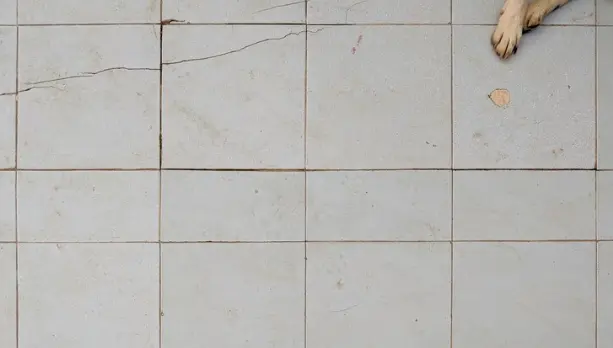 What Is the Best Underlayment for Tile Floors?